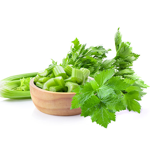 Cần tay Vinapharma chất lượng cao